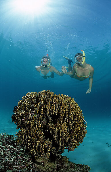 Two snorkeling girls