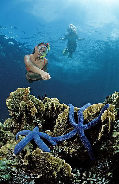 Two snorkeling girls