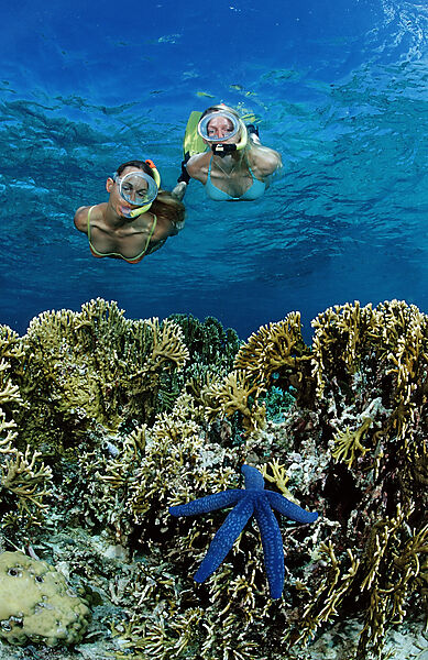 Two snorkeling girls