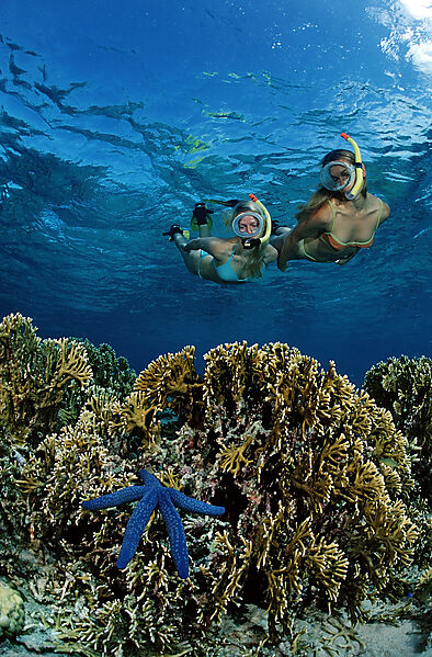 Two snorkeling girls