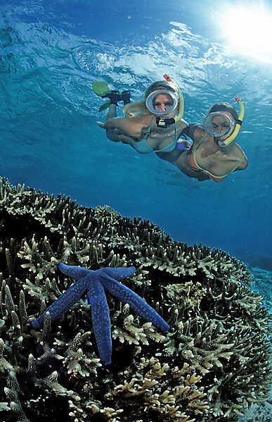 Two snorkeling girls