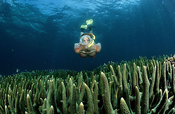 Snorkeling girl