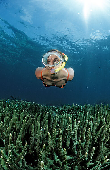 Snorkeling girl