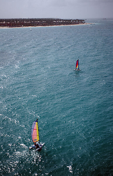 Catamaran, aerial view
