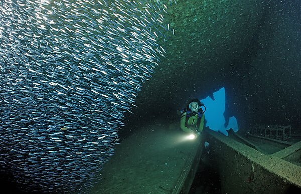 Taucher im Schiffswrack Patricia