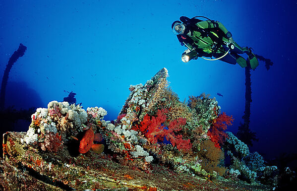 Scuba diver and Coral grouper on the wreck Numibia