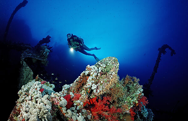 Scuba diver exploring shipwreck Numibia