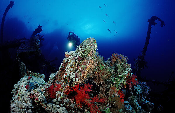Scuba diver exploring shipwreck Numibia