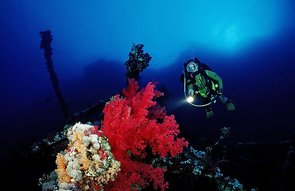 Scuba diver exploring shipwreck Numibia