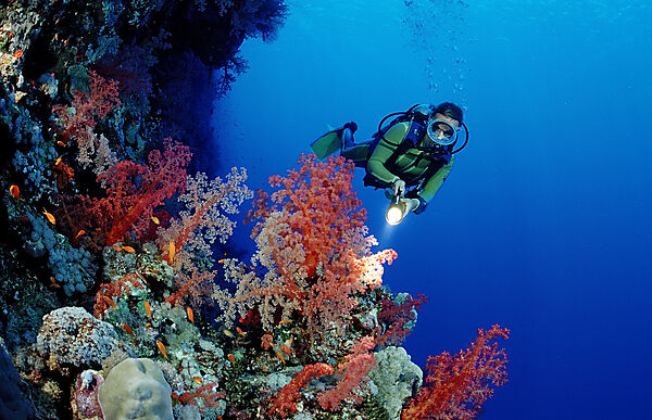 Scuba diver and colorful coral reef