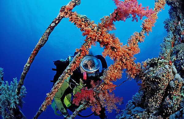 Scuba diver exploring the shipwreck Aida