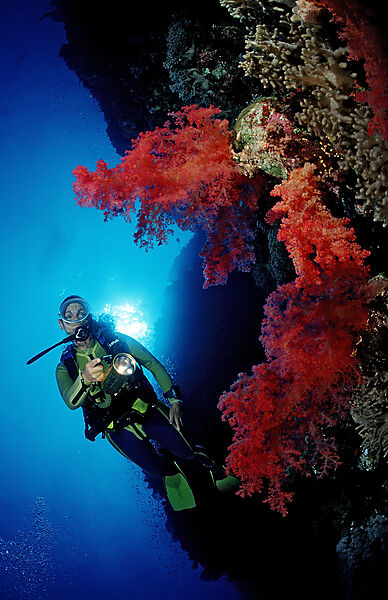 Scuba diver and colorful coral reef