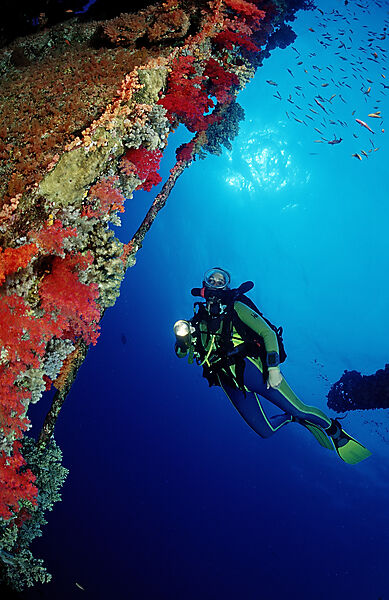 Scuba diver and colorful coral reef