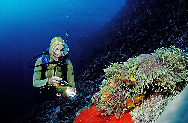 Twobar anemone fish and scuba diver