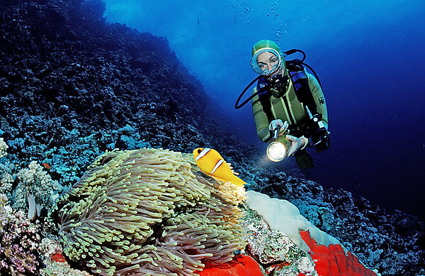 Twobar anemone fish and scuba diver