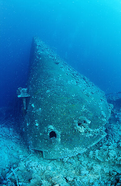 Blue Belt shipwreck