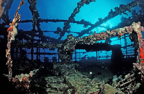 Scuba diver diving on Umbria shipwreck