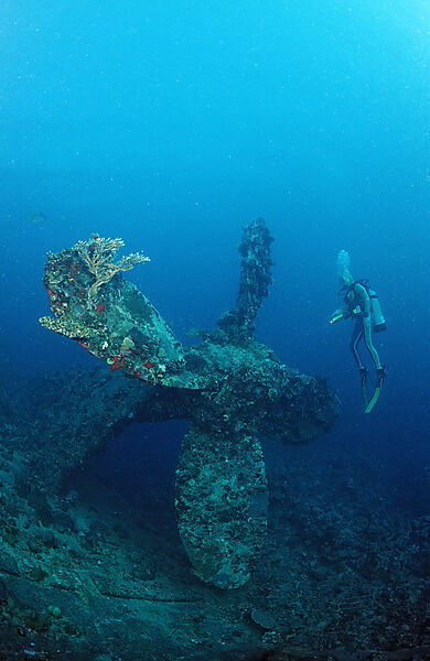 Scuba diver and propellor of shipwreck Umbria