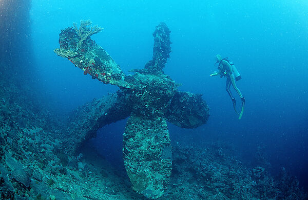 Scuba diver and propellor of shipwreck Umbria