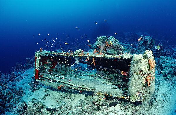 Shark cage of Jacque Cousteau