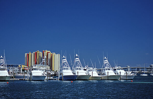 Harbour of West Palm Beach