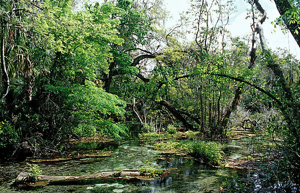 Rainbow River Quelle