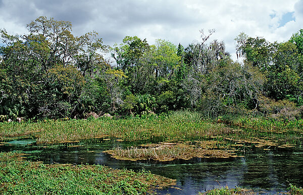Rainbow River Quelle