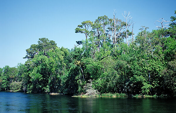 Rainbow River