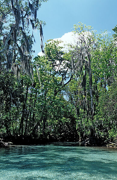 Three Sisters Manatee Schutzgebiet