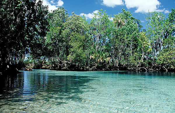 Three Sisters Manatee Schutzgebiet