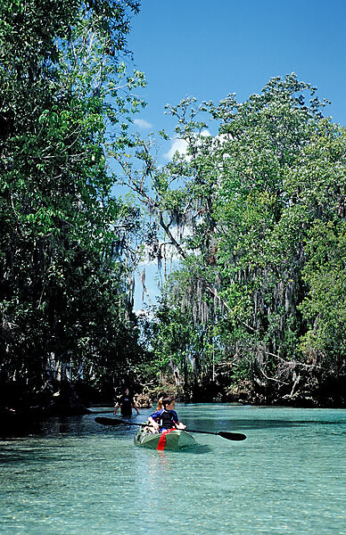 Paddelboot im Three Sisters Manatee Schutzgebiet