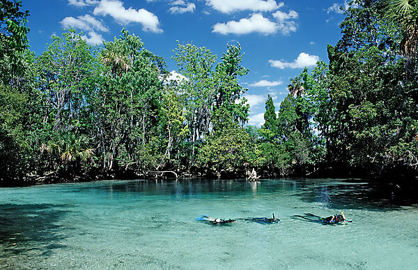 Three Sisters Manatee Schutzgebiet