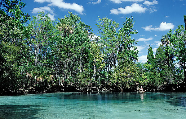 Three Sisters Manatee Schutzgebiet