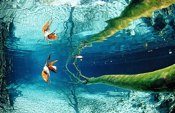 Wasserspiegelung