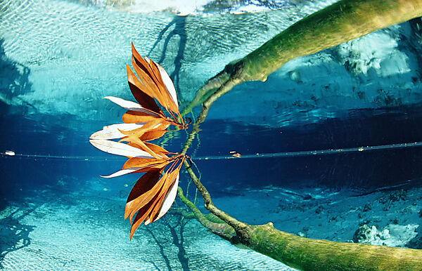 Wasserspiegelung