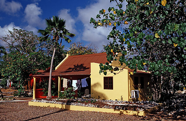 Diving resort Captain Don´s Habitat