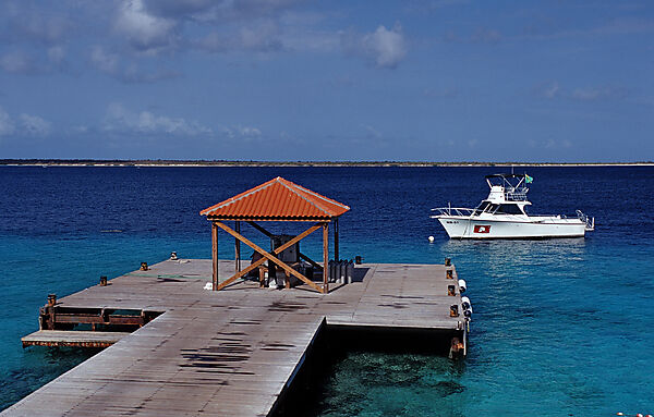 Diving resort Captain Don´s Habitat