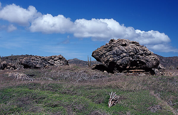 Desert landscape