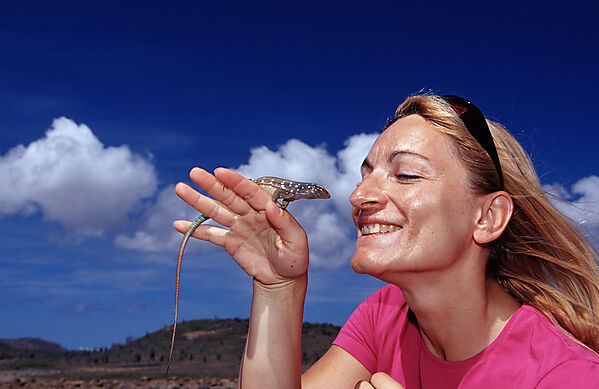 Tourist and Blue whiptail lizard