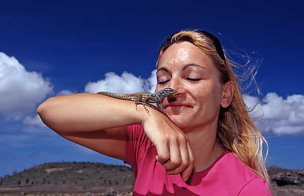 Tourist and Blue whiptail lizard
