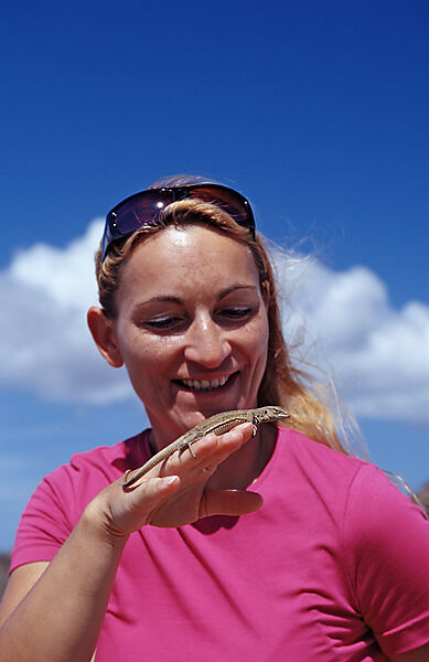 Tourist and Blue whiptail lizard