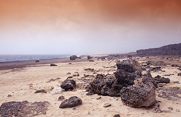 Desert landscape