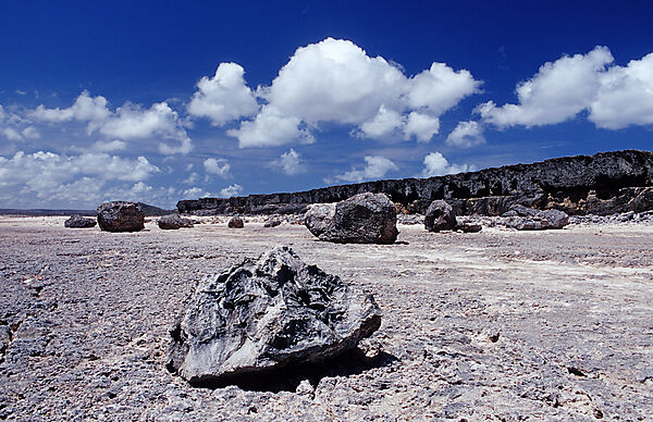 Desert landscape
