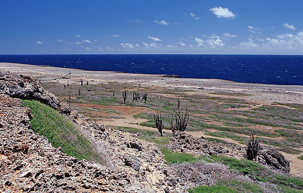 Wuestenlandschaft am Meer