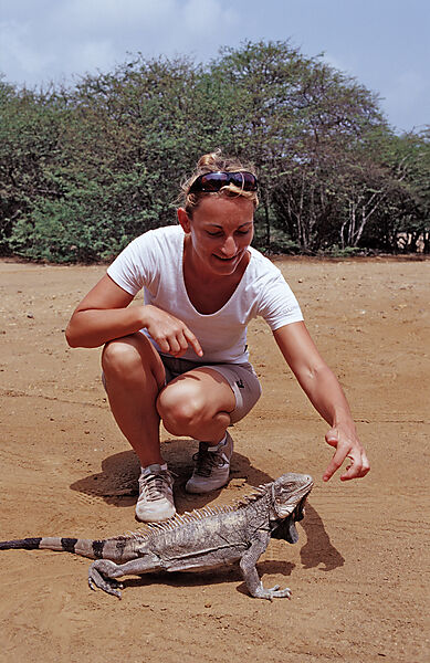 Gruener Leguan