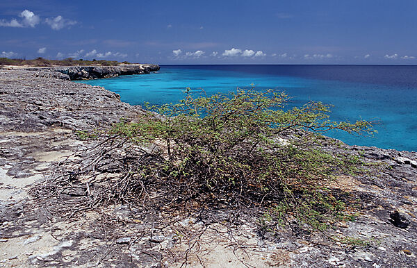 Kueste von Bonaire