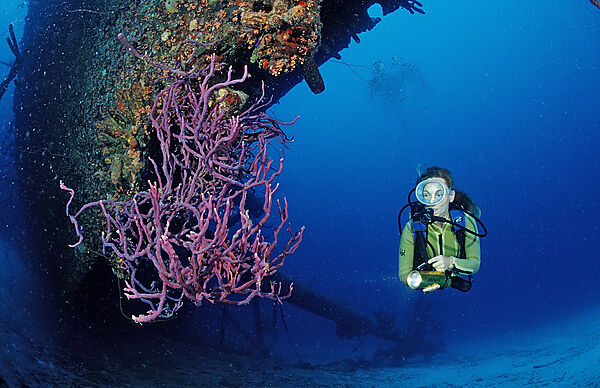 Taucher am Hilma Hooker Schiffswrack