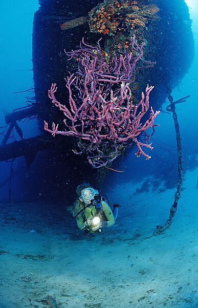 Taucher am Hilma Hooker Schiffswrack
