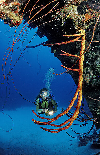 Taucher am Hilma Hooker Schiffswrack