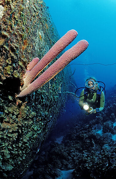 Taucher am Hilma Hooker Schiffswrack